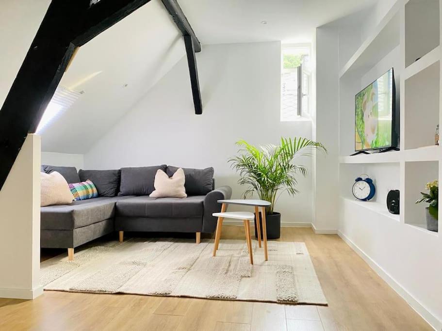 -2-zentral-traumwohnung-rhein Apartment